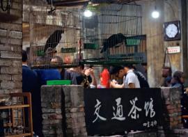 【游记】重庆唯一现存的老茶馆