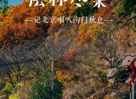 大家都在刷的喇叭沟门秋色到底怎样？实地考察照片请查收，一起来欣赏北京的秋！