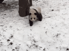 根本不用跑去雪乡挨宰，冬天来这儿自驾玩雪才是上策！