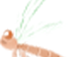 游记—青岛篇