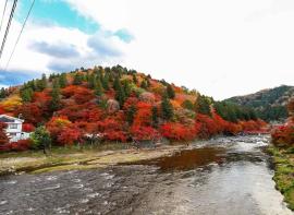 日本赏枫攻略 | 满山漫天枫叶的香岚溪！
