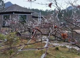 约在冬季白马山