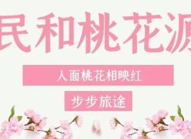 【民和桃花源】小地方也有大景色！