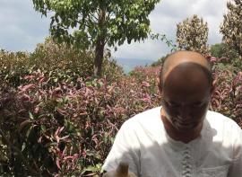 洱海边那些慵懒的时光