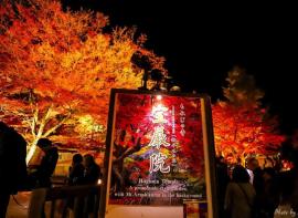 日本赏枫攻略 | 宝厳院，可以拍出没有人的效果的夜枫。