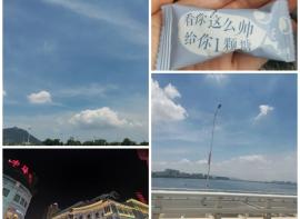 游记之厦门：归程亦成景