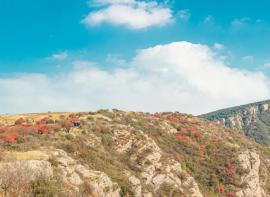 游记丨初恋嵩山，打卡中岳十峰-子晋峰