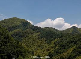 夏日悠长，一起去露营吧！
