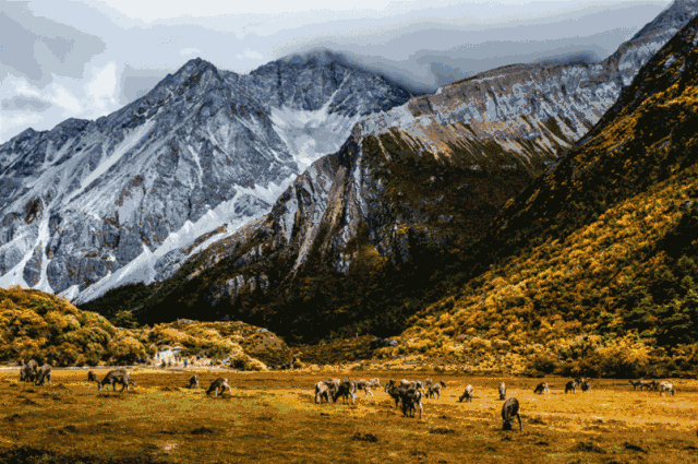 有人拼西藏旅游吗？花最少的钱，看最贵的景！